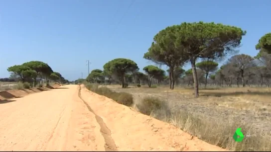 Parque Nacional de Doñana Parque Nacional de Doñana