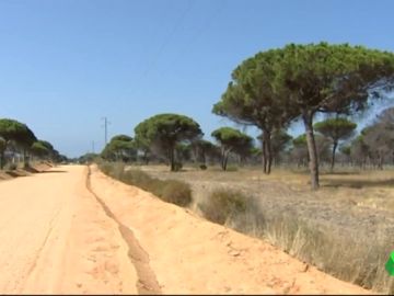 Parque Nacional de Doñana Parque Nacional de Doñana