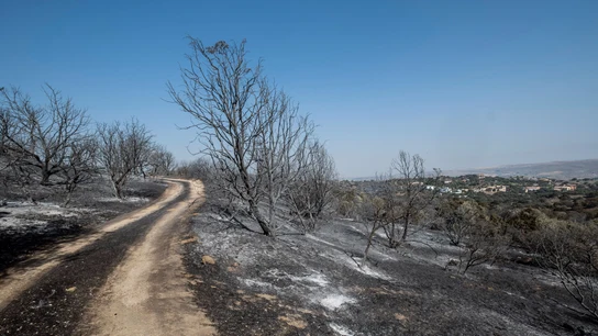 El incendio a las afueras de Toledo quema 1600 hectáreas y está perimetrado El incendio a las afueras de Toledo quema 1600 hectáreas y está perimetrado