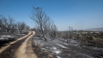 El incendio a las afueras de Toledo quema 1600 hectáreas y está perimetrado