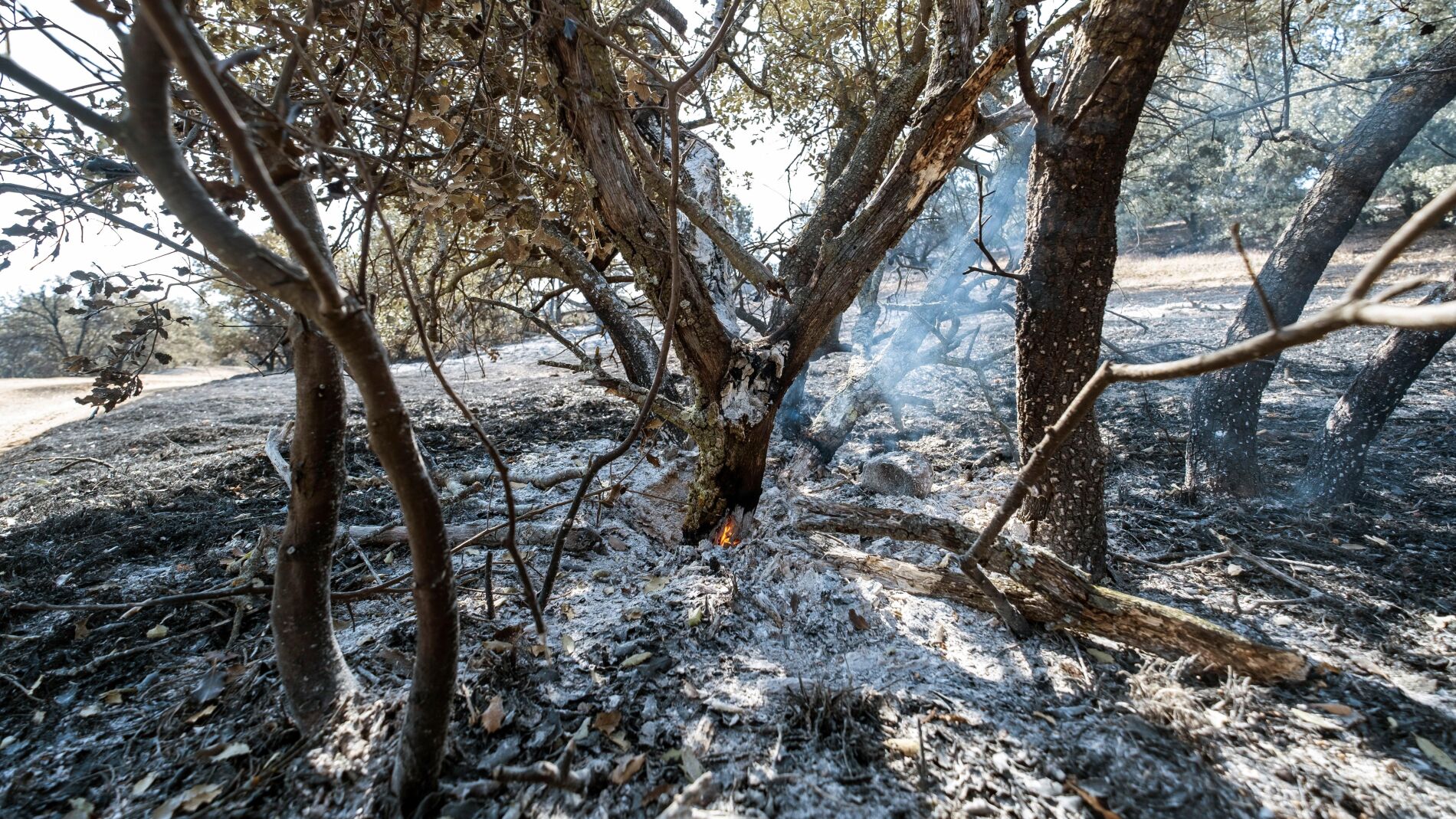 Vista de la zona afectada por el incendio de Toledo