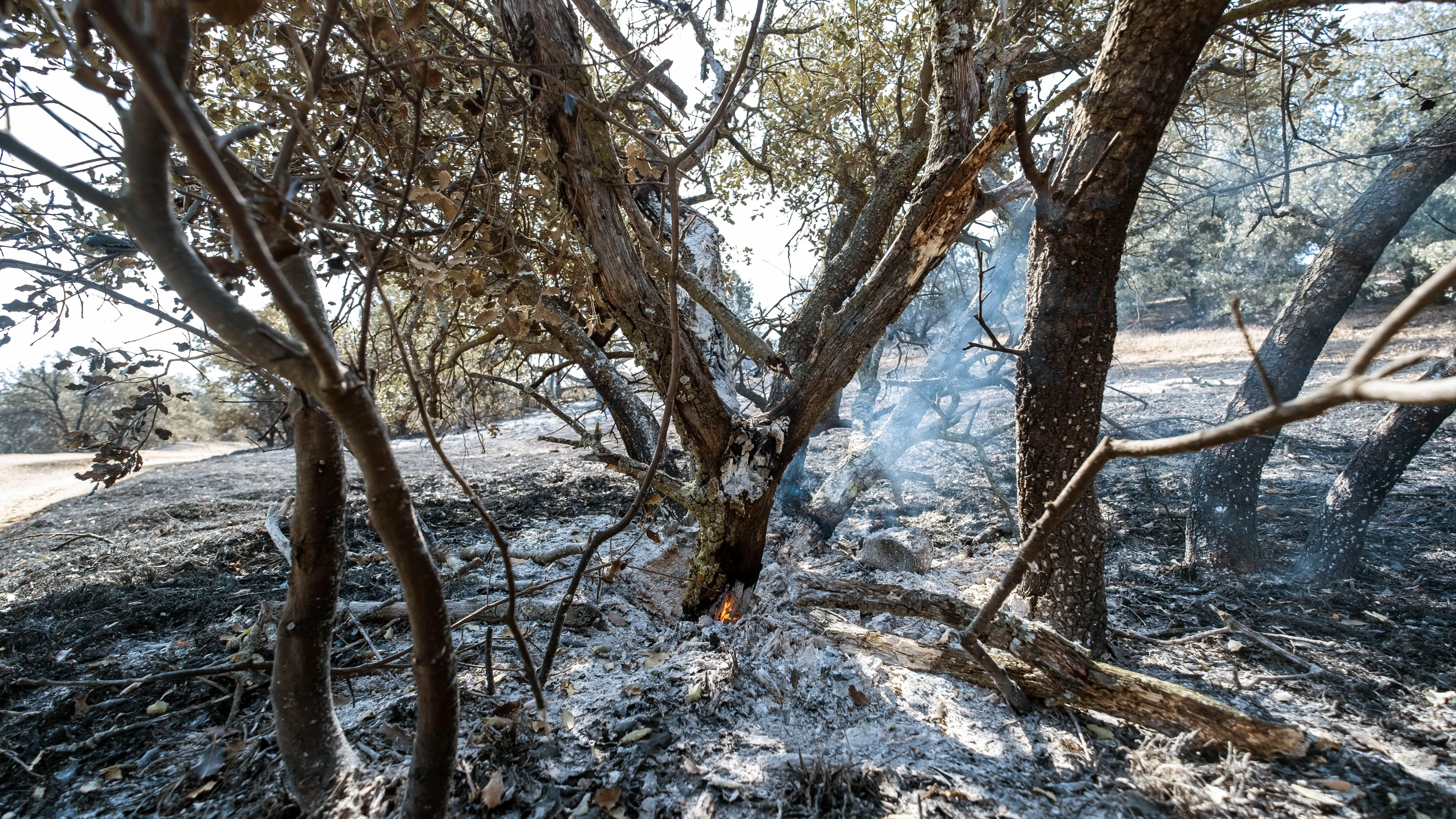 Vista de la zona afectada por el incendio de Toledo