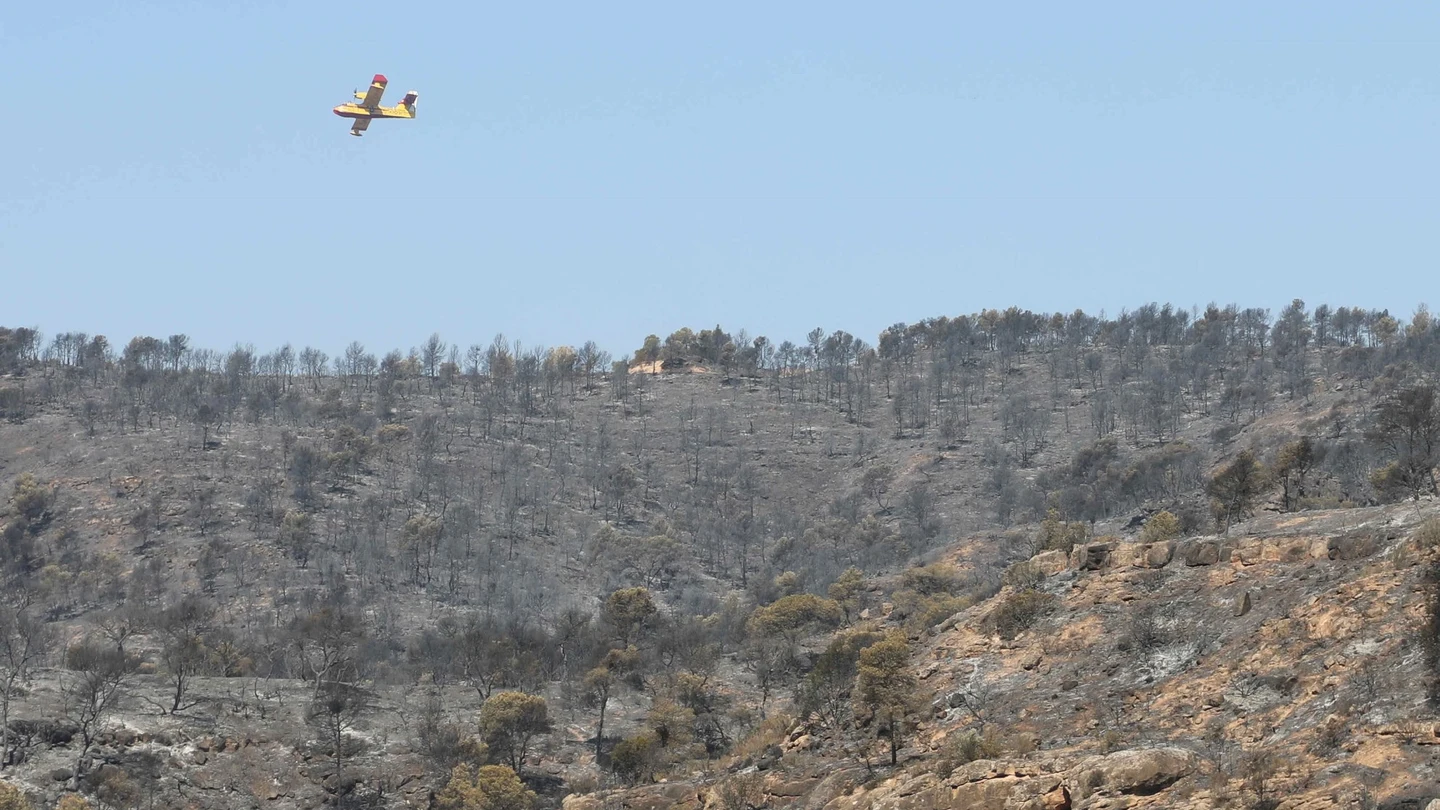 Terreno tras el incendio en la Ribera d'Ebre Terreno tras el incendio en la Ribera d'Ebre