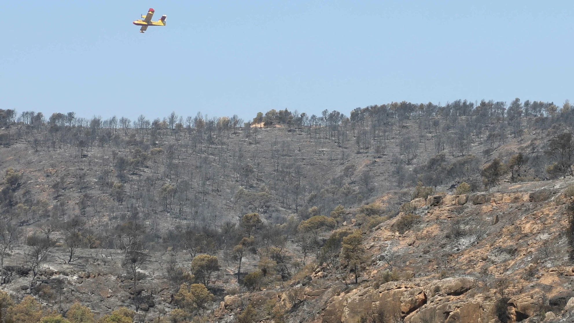 Terreno tras el incendio en la Ribera d'Ebre