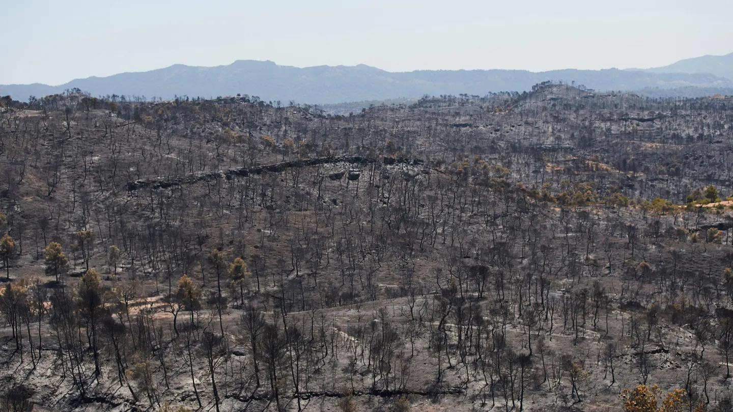 Vista del terreno calcinado este sábado tras el paso del incendio forestal de Tarragona Vista del terreno calcinado este sábado tras el paso del incendio forestal de Tarragona