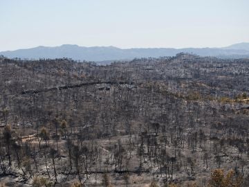Vista del terreno calcinado este sábado tras el paso del incendio forestal de Tarragona Vista del terreno calcinado este sábado tras el paso del incendio forestal de Tarragona