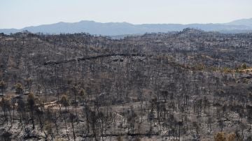 Vista del terreno calcinado este sábado tras el paso del incendio forestal de Tarragona