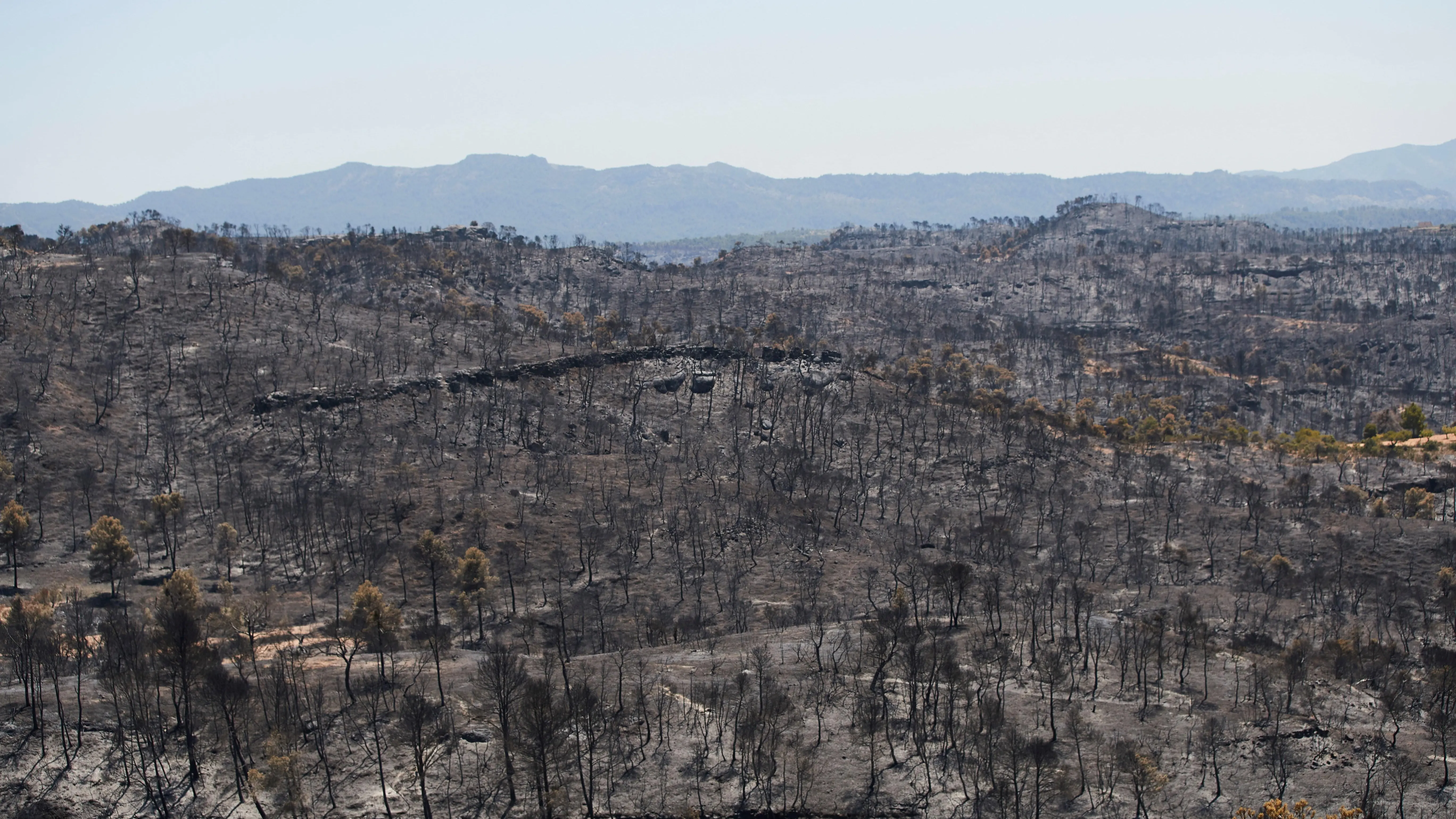 Vista del terreno calcinado este sábado tras el paso del incendio forestal de Tarragona