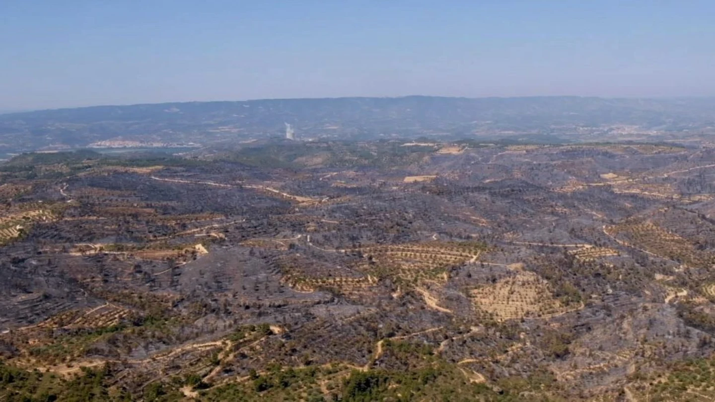 Incendio de la Ribera d'Ebre Incendio de la Ribera d'Ebre