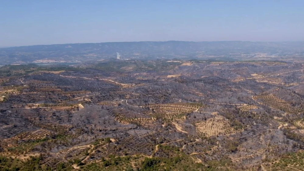 Incendio de la Ribera d'Ebre