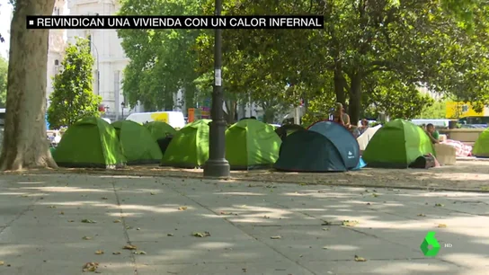 Sin agua, a 40 grados y rodeados de suciedad e insectos: así luchan estos acampados por una vivienda digna frente al Ministerio de Sanidad Sin agua, a 40 grados y rodeados de suciedad e insectos: así luchan estos acampados por una vivienda digna frente al Ministerio de Sanidad