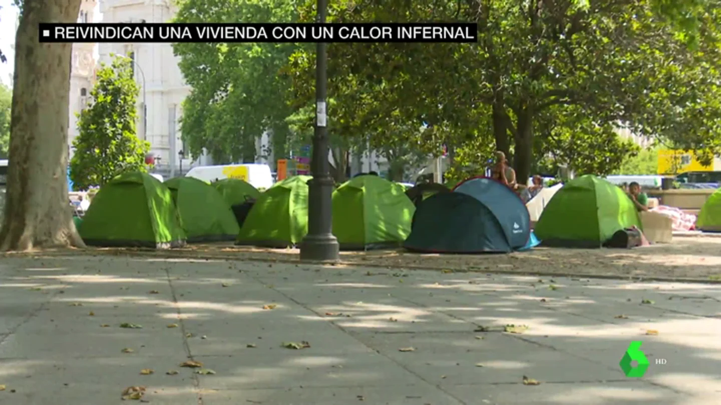 Sin agua, a 40 grados y rodeados de suciedad e insectos: así luchan estos acampados por una vivienda digna frente al Ministerio de Sanidad Sin agua, a 40 grados y rodeados de suciedad e insectos: así luchan estos acampados por una vivienda digna frente al Ministerio de Sanidad