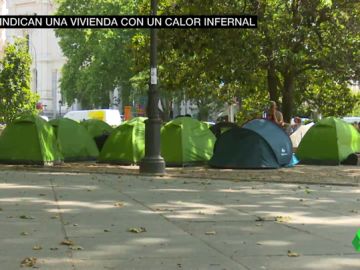 Sin agua, a 40 grados y rodeados de suciedad e insectos: así luchan estos acampados por una vivienda digna frente al Ministerio de Sanidad Sin agua, a 40 grados y rodeados de suciedad e insectos: así luchan estos acampados por una vivienda digna frente al Ministerio de Sanidad