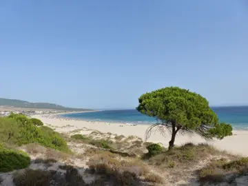 Playas únicas en España Playas únicas en España