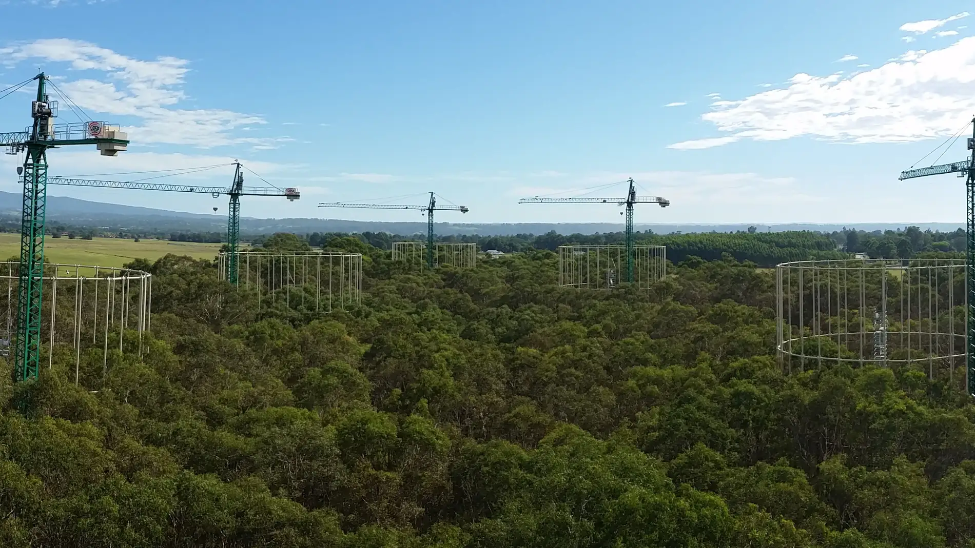 Este proyecto se ha llevado a cabo tres años en las instalaciones experimentales EucFACE, de la Western Sydney University