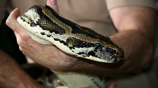 Los hechos ocurrieron en la famosa plaza de Yemaa al Fna en Marrakech. Los hechos ocurrieron en la famosa plaza de Yemaa al Fna en Marrakech.