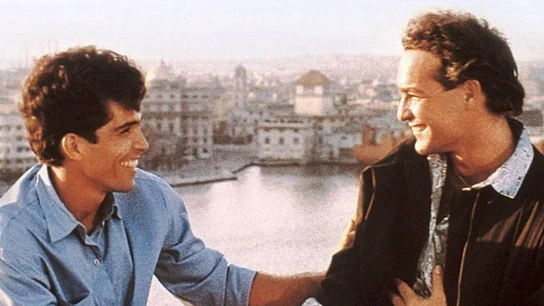 Fresas y chocolate Fresas y chocolate