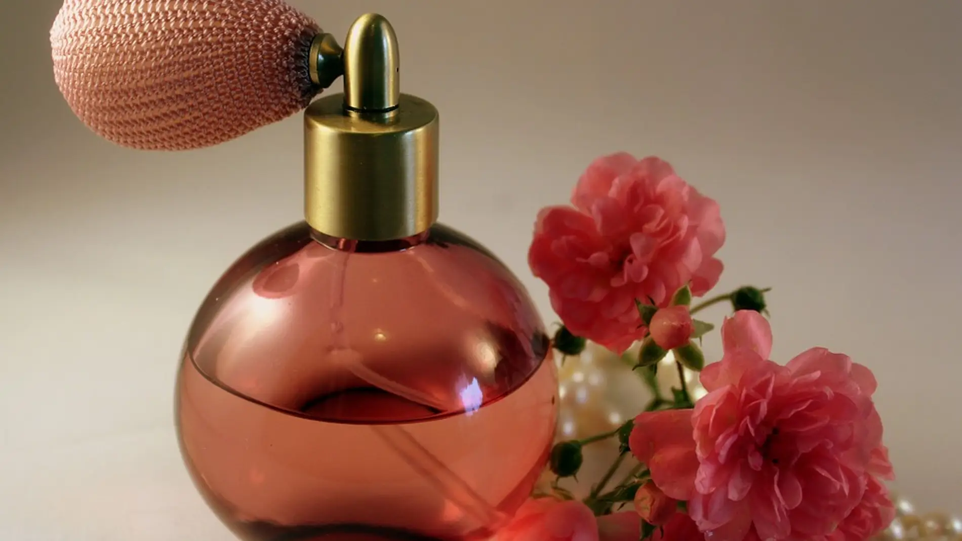 Las matematicas saben por que un perfume tiene exito