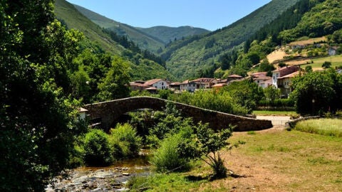 Tuña de Tineo