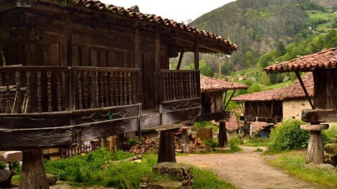 Espinaréu en Piloña