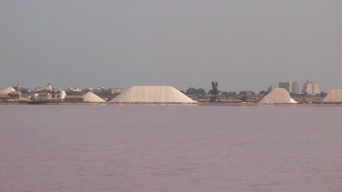 Laguna rosa, Alicante