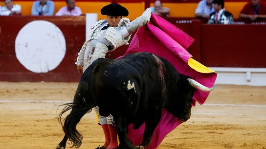 El diestro peruano Roca Rey El diestro peruano Roca Rey