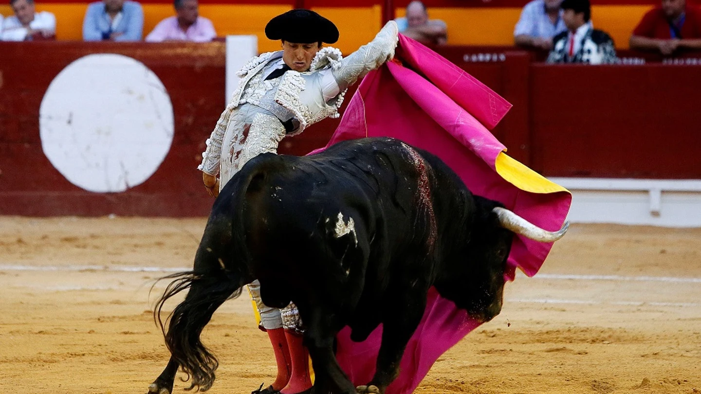 El diestro peruano Roca Rey El diestro peruano Roca Rey