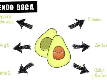 Aporte nutricional del aguacate Aporte nutricional del aguacate