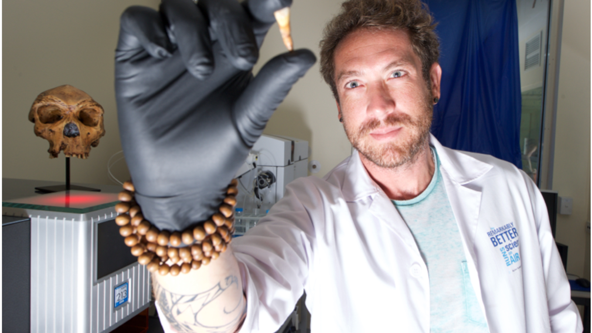 Dientes fosiles revelan como amamantaban las Australopithecus