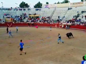 Un toro embiste a un joven en las fiestas de San Victorino en Arévalo Un toro embiste a un joven en las fiestas de San Victorino en Arévalo
