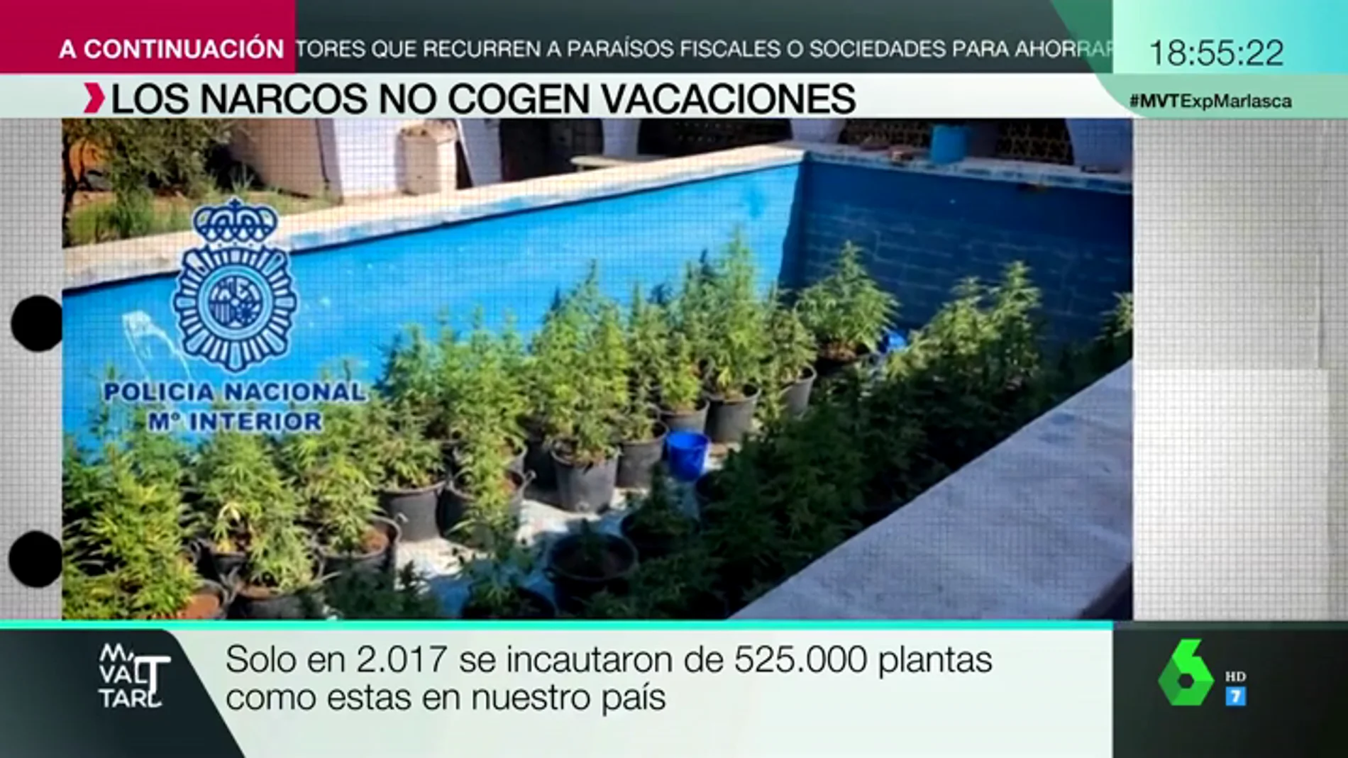 'Guarderías' marítimas y plantas de marihuana escondidas en una piscina: así actúan los narcos
