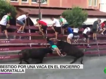 moratalla moratalla