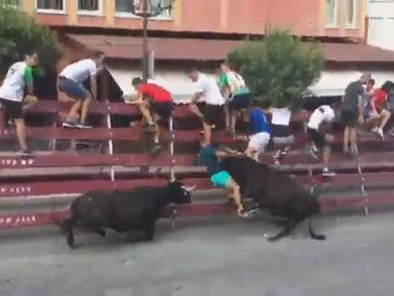 Doble cogida en el encierro de Moratalla Doble cogida en el encierro de Moratalla