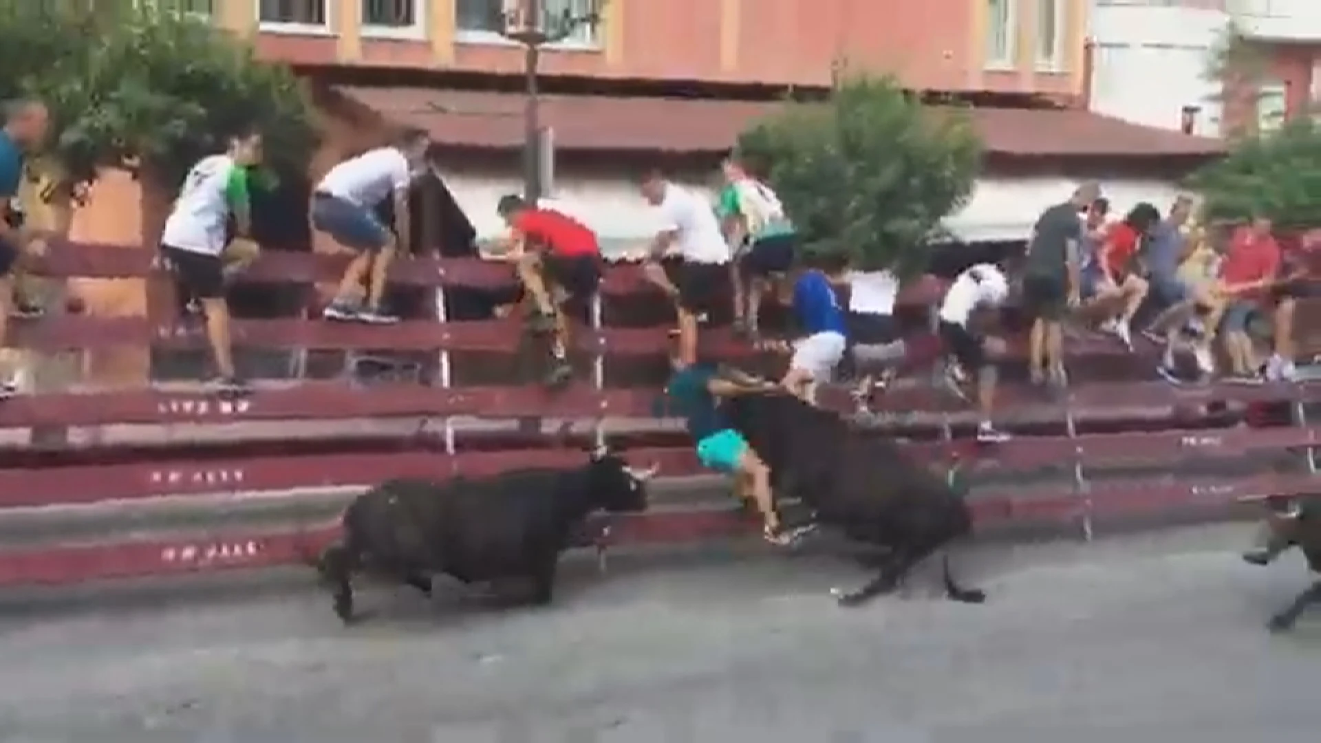 Doble cogida en el encierro de Moratalla