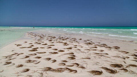 Isla de Djerba