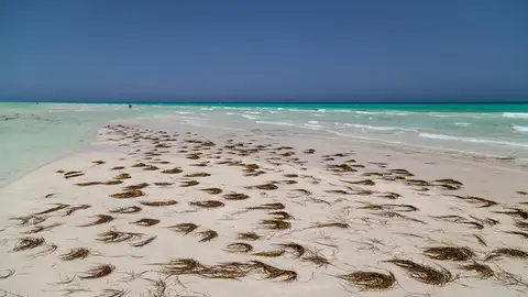Isla de Djerba Isla de Djerba