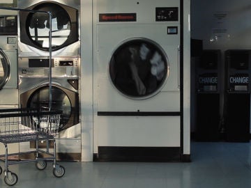Un gato en una lavadora Un gato en una lavadora