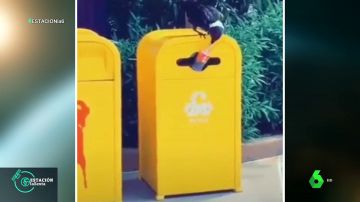 El cuervo 'reciclador': introduce una botella de plástico en el contenedor