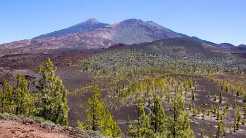 Teide Teide