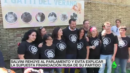 Salvini rehuye al Parlemento: se va a visitar un centro para gatos Salvini rehuye al Parlemento: se va a visitar un centro para gatos