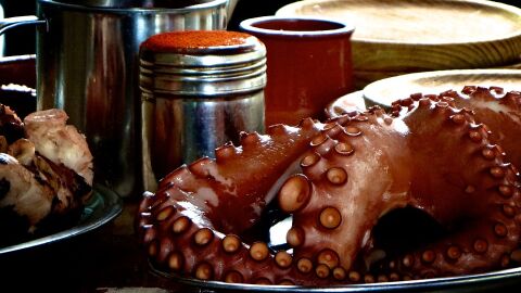 Pulpo