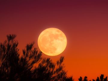 Luna ámbar Luna ámbar