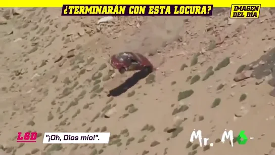 CARRERAPELIGROSA CARRERAPELIGROSA