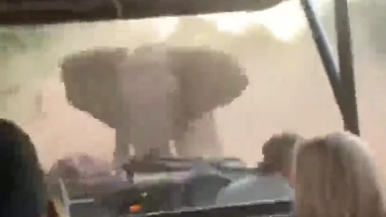 Un elefante embiste el coche de un grupo de turistas en un safari Un elefante embiste el coche de un grupo de turistas en un safari