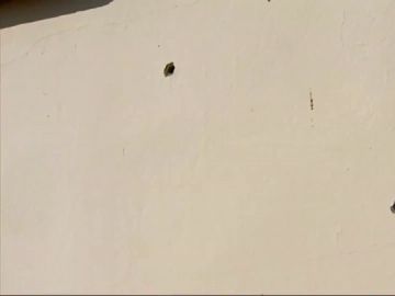 Un hombre, en busca y captura tras disparar 14 veces a la casa de su expareja Un hombre, en busca y captura tras disparar 14 veces a la casa de su expareja
