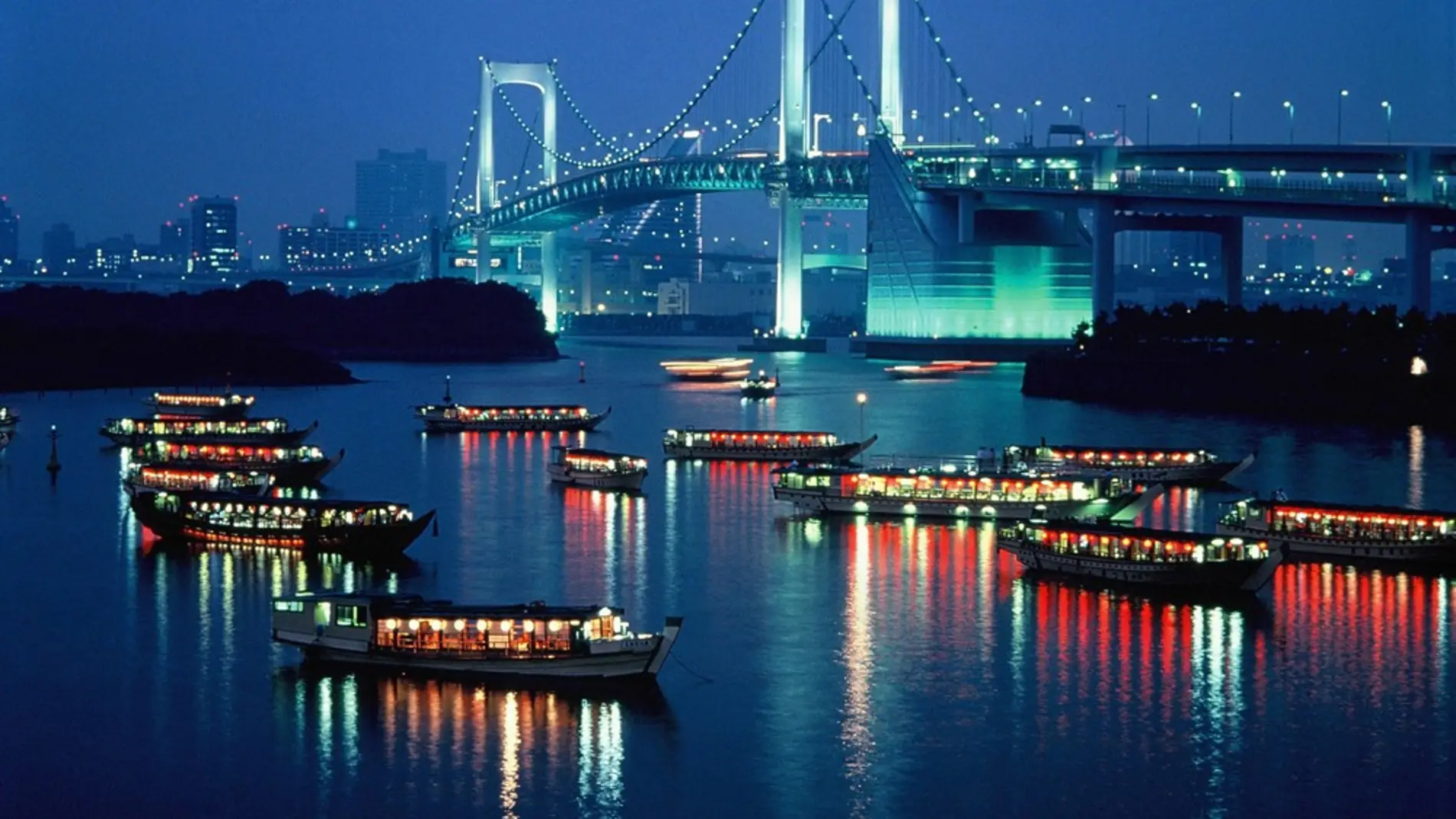 Odaiba Night View