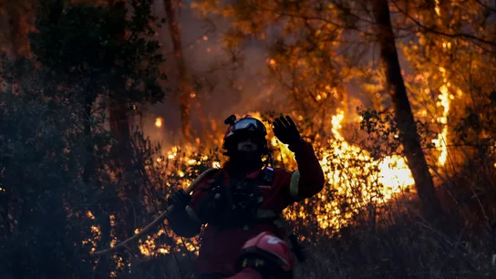 Bomberos trabajando en las labores de extinción en Portugal Bomberos trabajando en las labores de extinción en Portugal