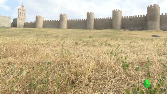 &Aacute;vila decreta la emergencia por sequ&iacute;a con embalses s&oacute;lo al 44% de su capacidad