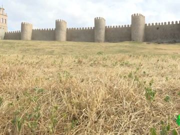 Ávila decreta la emergencia por sequía con embalses sólo al 44% de su capacidad Ávila decreta la emergencia por sequía con embalses sólo al 44% de su capacidad