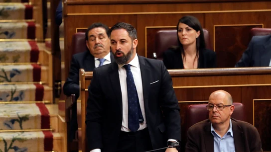 El líder de VOX, Santiago Abascal, interviene en la primera jornada del debate de investidura que afronta el líder socialista, Pedro Sánchez. El líder de VOX, Santiago Abascal, interviene en la primera jornada del debate de investidura que afronta el líder socialista, Pedro Sánchez.